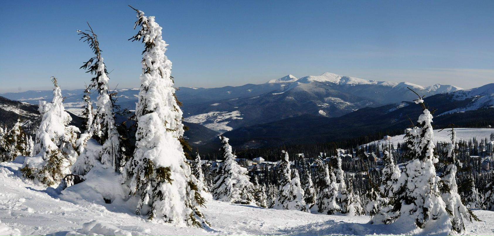 Ольга Людвинская | Киев