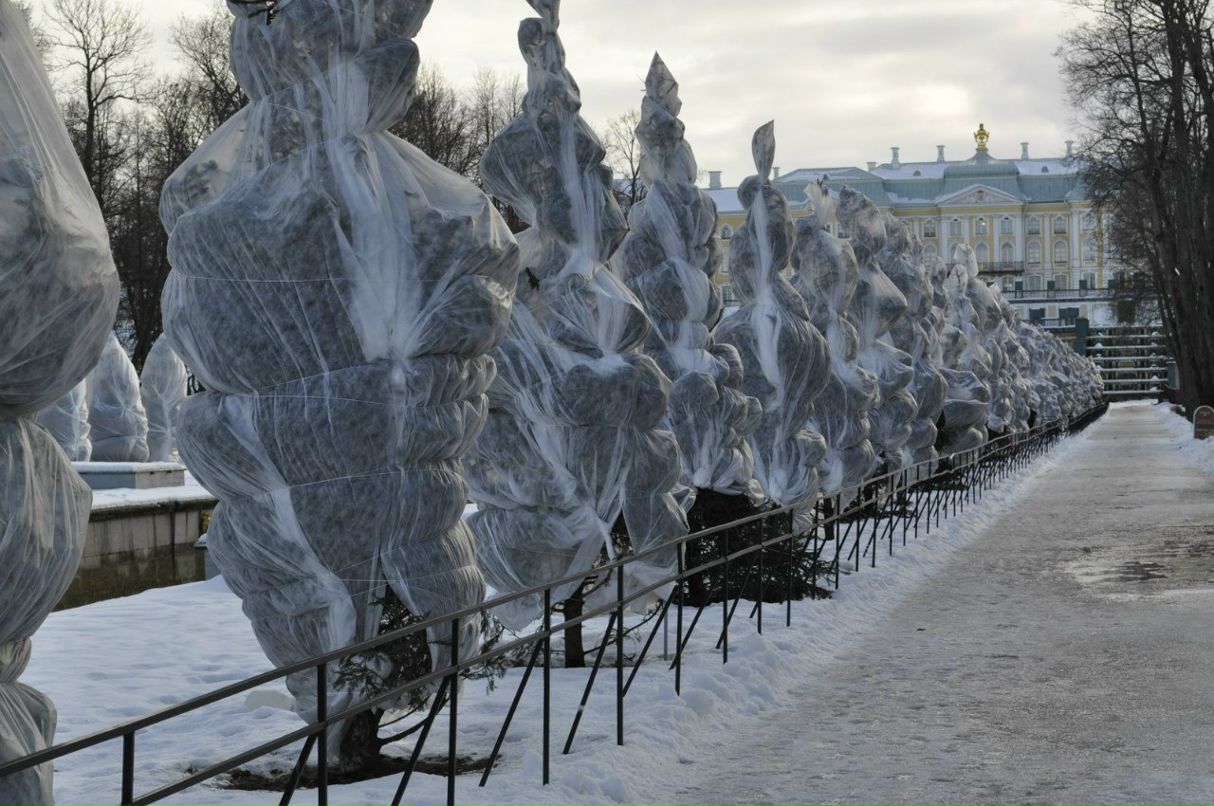 Ксения Ванина | 