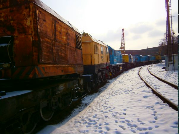 №74, Владислав Посудевский №74, Владислав Посудевский