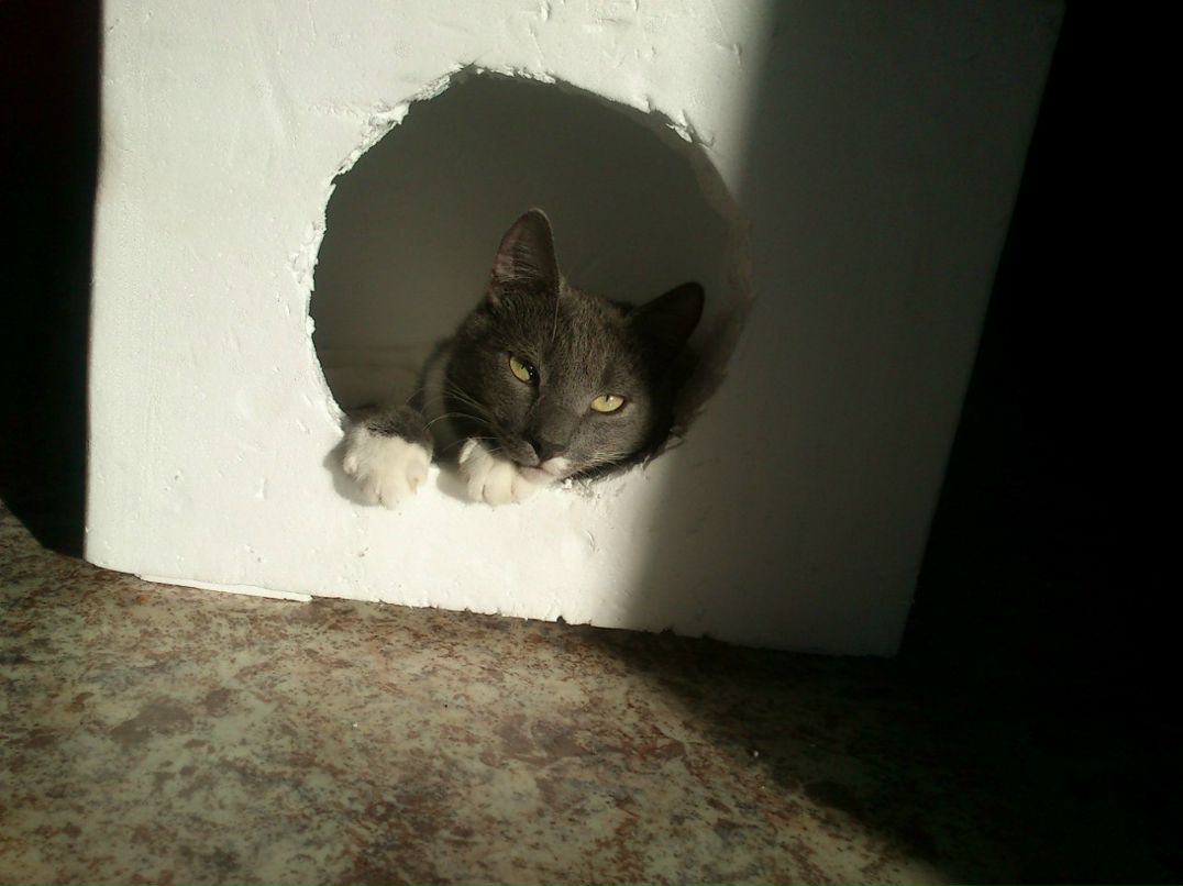 Инна Левченко | Санкт-Петербург