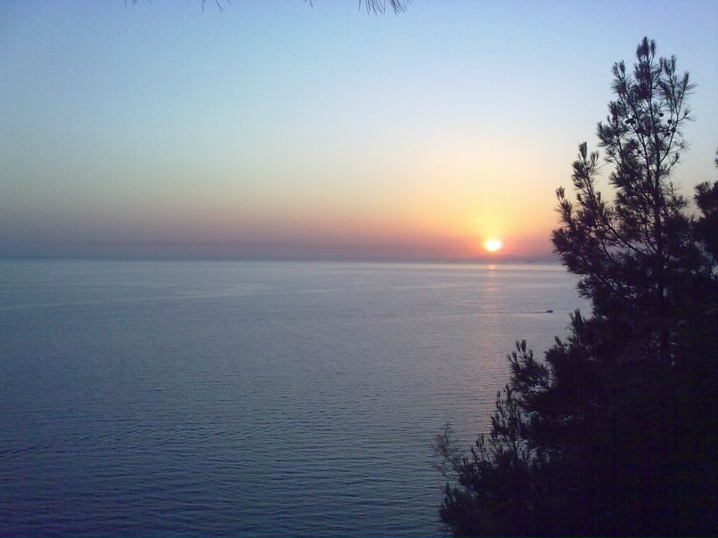 Мирра Гельд | Москва