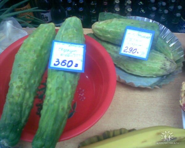 Юрий Пятницын | Новочеркасск