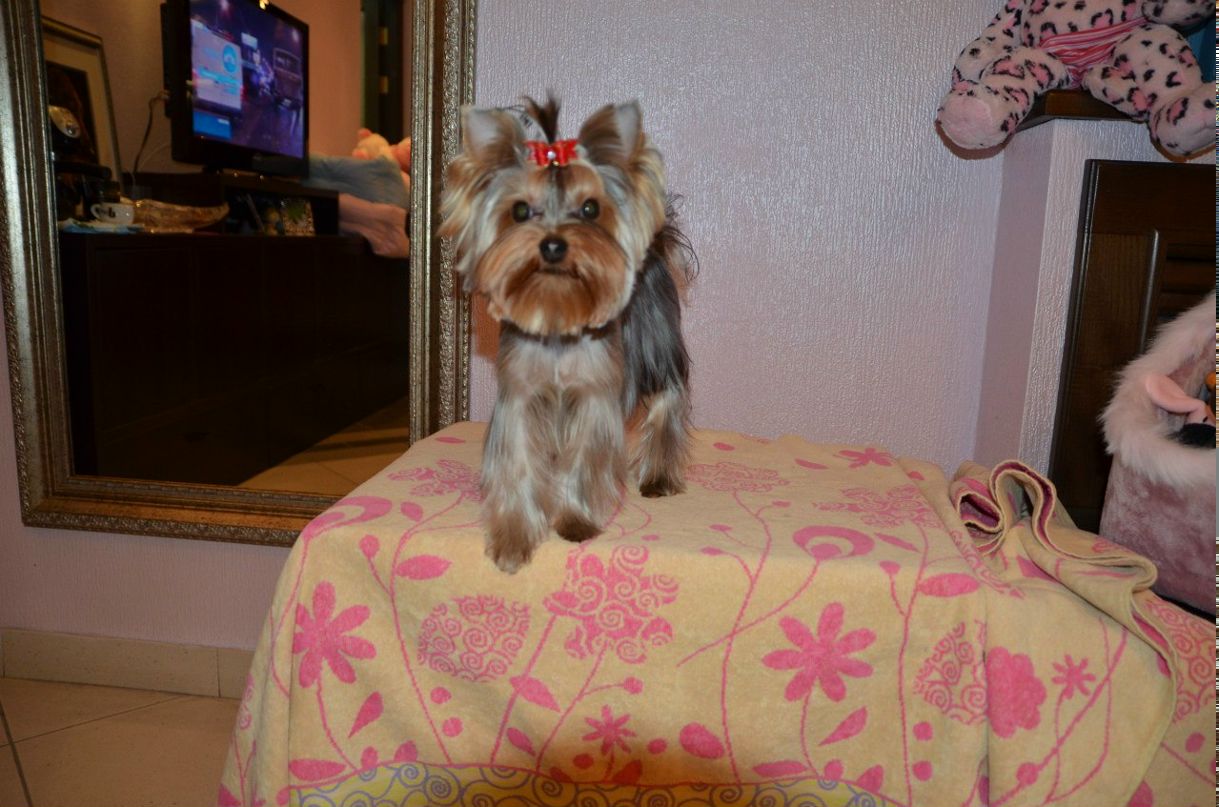 Nadia Chepasova | Новосибирск