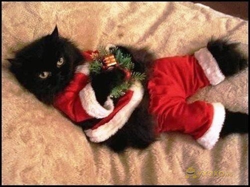 №138, Александра Бутина, 36 лет №138, Александра Бутина, 36 лет