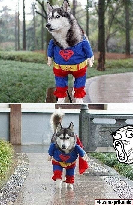 Віталій Харів ~~~RedsoN~~~ | Калуш