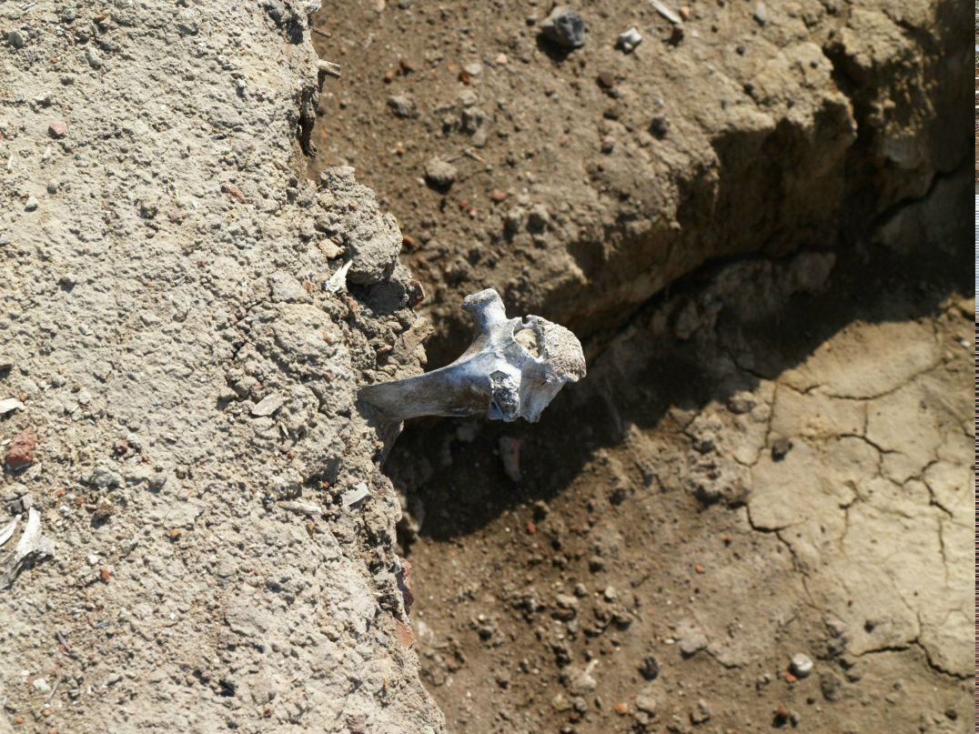 Mad Maxxx | Астрахань