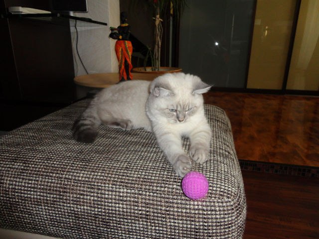 Татьяна Шилович | Минск