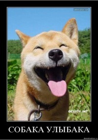 №71, Марина Новикова, 55 лет, Санкт-Петербург, Россия №71, Марина Новикова, 55 лет, Санкт-Петербург, Россия