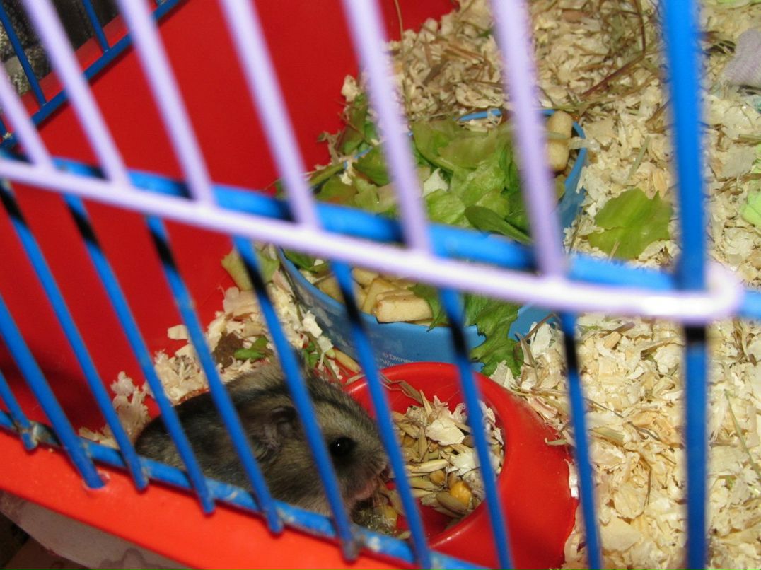 Татьяна Белоусова | Санкт-Петербург