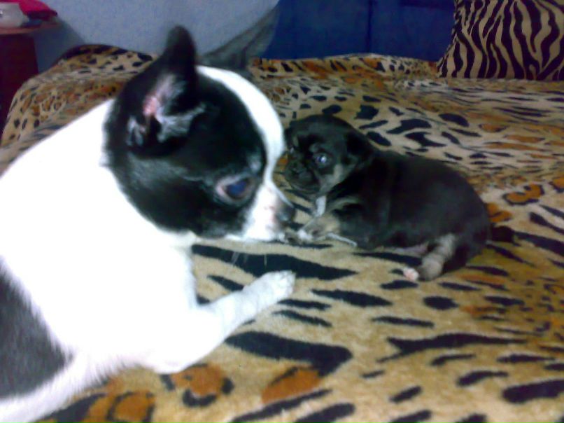 Виталий Кучеров | Кропивницкий / Кировоград