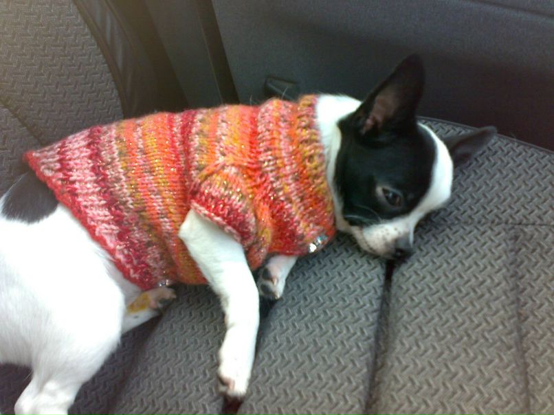 Виталий Кучеров | Кропивницкий / Кировоград