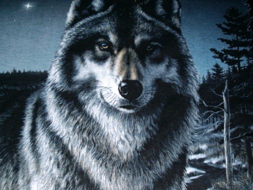 Иван Овсянников | Москва