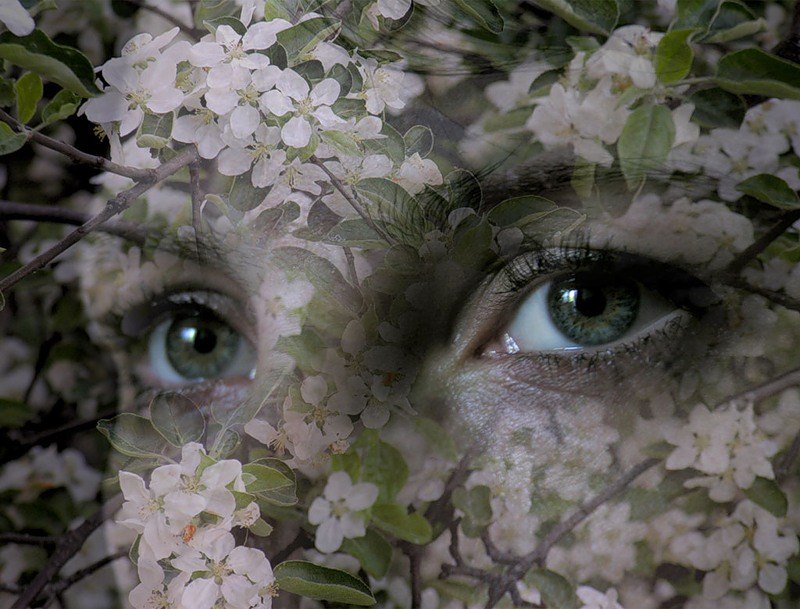 Мария Балаян | Чита