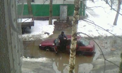 Наташа Фоминых | Вологда