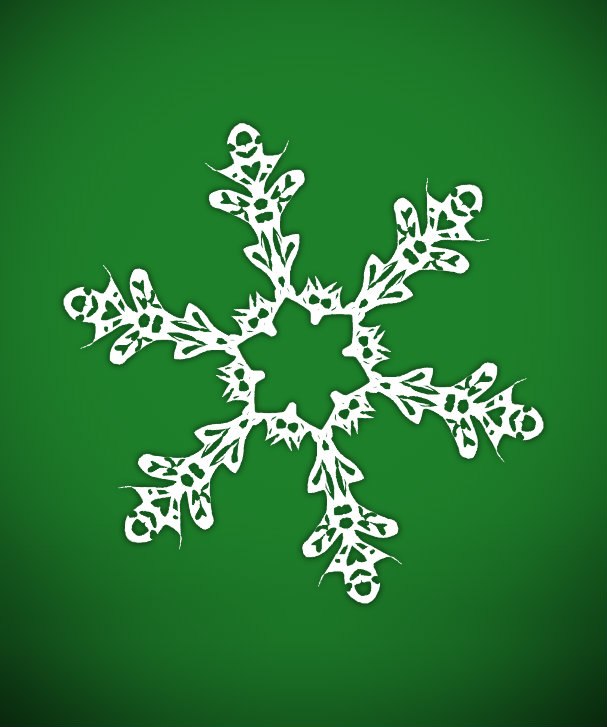 Виктория Черновол | Черкассы