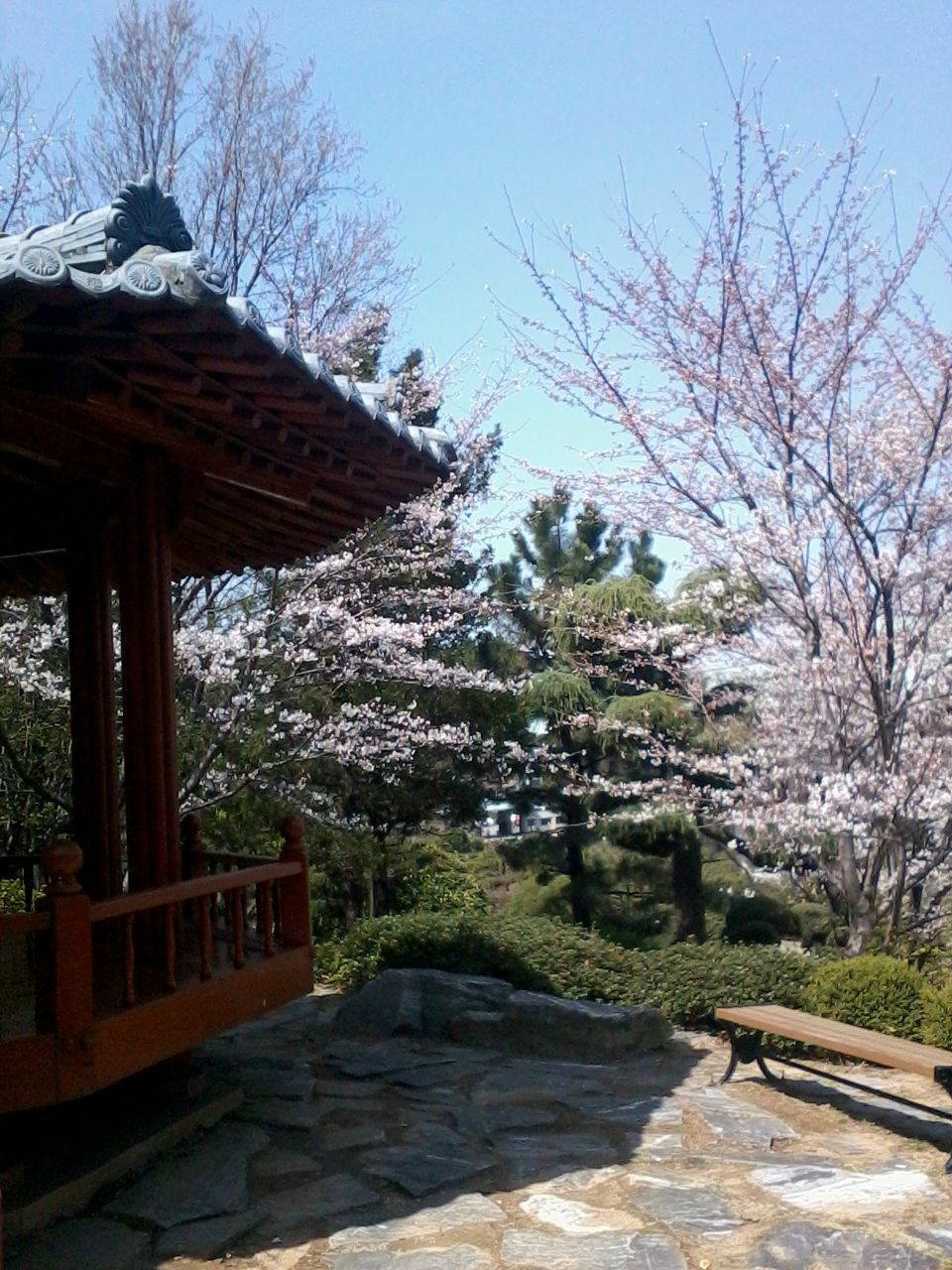 Рита Лаврухина | Сергиев Посад