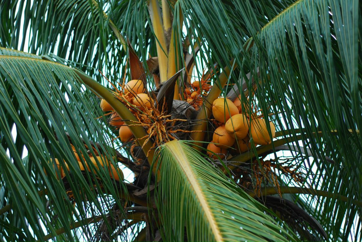 Александра Гладких | Владивосток