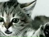 Анастасия Карсакова | Уфа