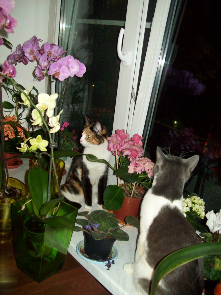 Галина Столярова Петровна | Санкт-Петербург