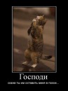 Фотография Найдиной Юлии