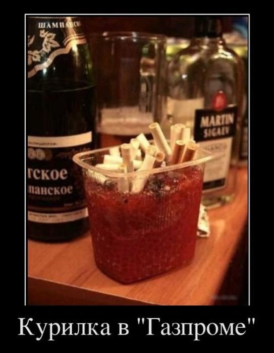 Михаил Тейкин | Санкт-Петербург