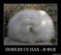 №174, Люсьен Каменских, Винница №174, Люсьен Каменских, Винница