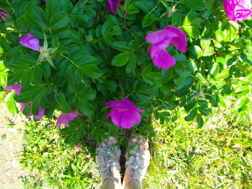 Валентина Тарбаева | 