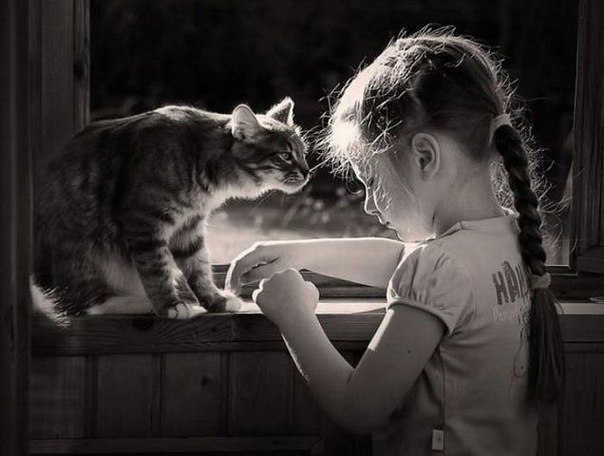 Мария Немирова | Санкт-Петербург