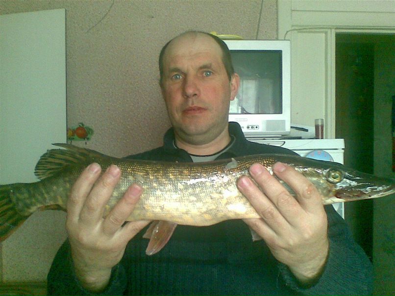 Андрей Шневель | Великие Луки