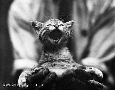 Ольга Лаврентьева | Санкт-Петербург