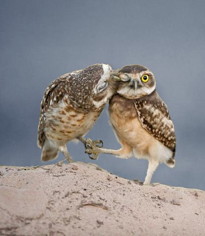 Мария Котенко | Одесса