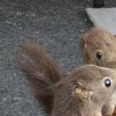 №105, Вітя Глушук, Луцк №105, Вітя Глушук, Луцк