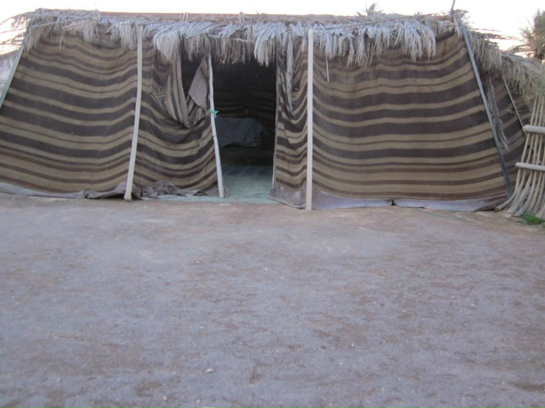 Дарья Хмельницкая Борисовна | Киев