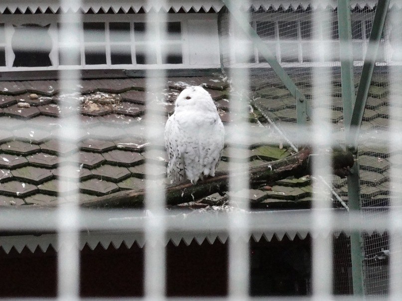 Валерия Лисак | Рига