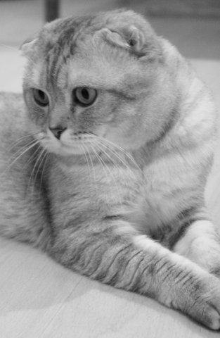 Марина Салихова | Светогорск