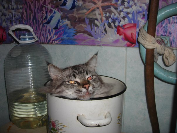 №147, Надежда Григорьева, 14.06.1954, Всеволожск №147, Надежда Григорьева, 14.06.1954, Всеволожск