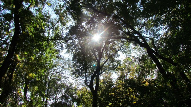 Анастасия Осецкая | Москва