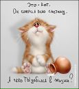 №12 Екатерина Родионова 08.04: профиль, фото, статус - ВКонтакте