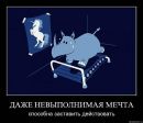 №11 Екатерина Федина 03.01.1988: профиль, фото, статус - ВКонтакте