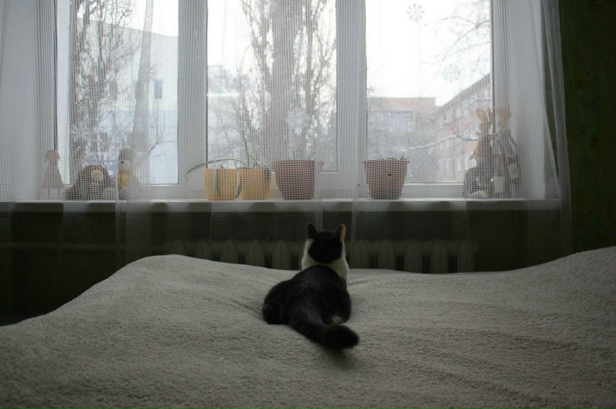 Олка Хорошок | 