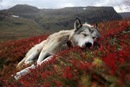 Фотография Пудова Дмитрия