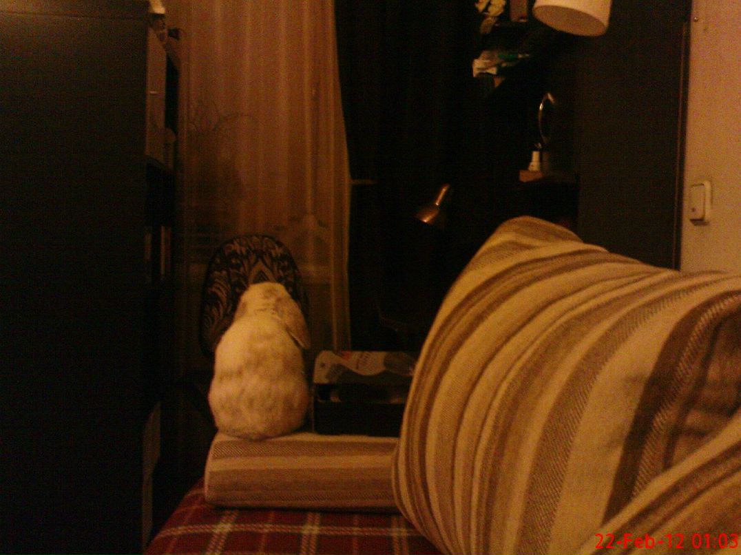 Nastya Preobrazhenskaya | Санкт-Петербург