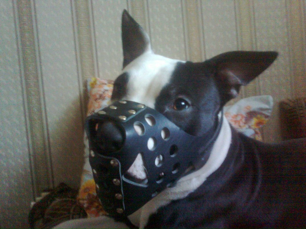 Александр Хачков | Новосибирск