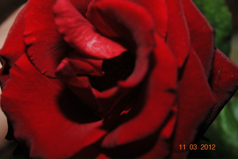 Ирина Колмакова | Москва