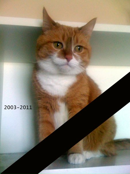 №38, Юра Ермаков, Москва, Россия №38, Юра Ермаков, Москва, Россия