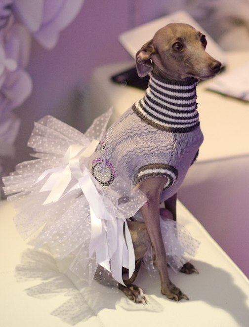 Яна Степуренко | Киев