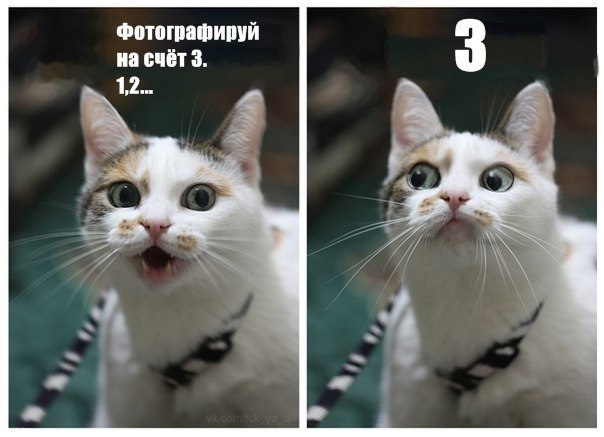 №69, Никита Коптелов, 30 лет, Запорожье №69, Никита Коптелов, 30 лет, Запорожье