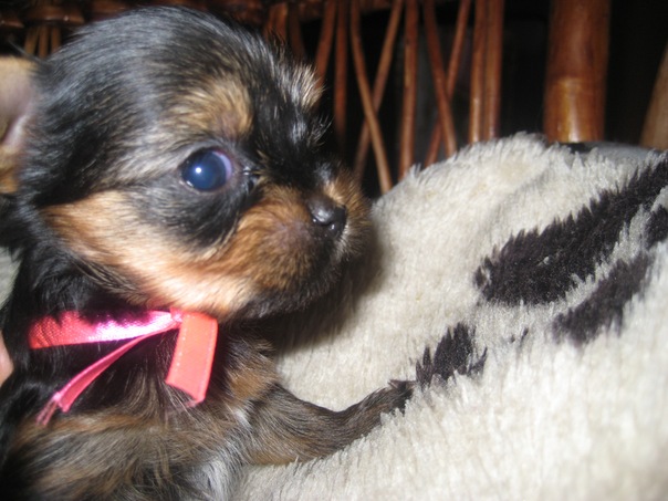 №61, Юлия Липустина, Киев №61, Юлия Липустина, Киев