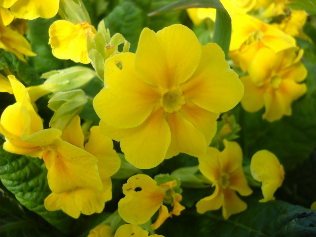 Костя Русанов | Петрозаводск