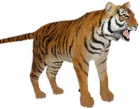 3d подарки на стену